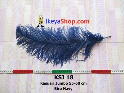 KSJ 18  large2